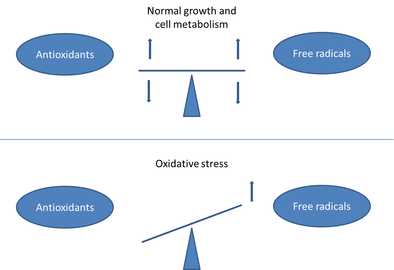 oxidative stress