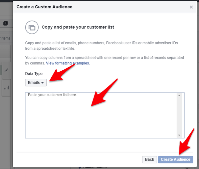 Create Custom Audience